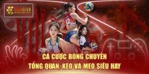 Cá cược bóng chuyền