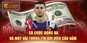 Cá cược bóng đá